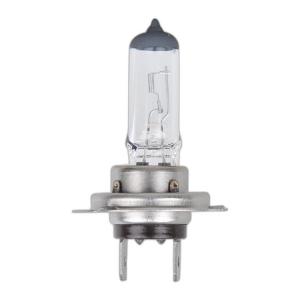 Autolampe 12V 55W PX26d H7 im Karton