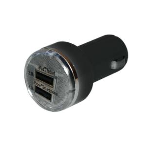 Dual USB-Ladeadapter 12/24 V