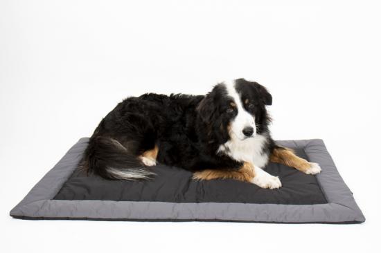 Camp 4 Outdoor-Decke fr Hunde ABBY